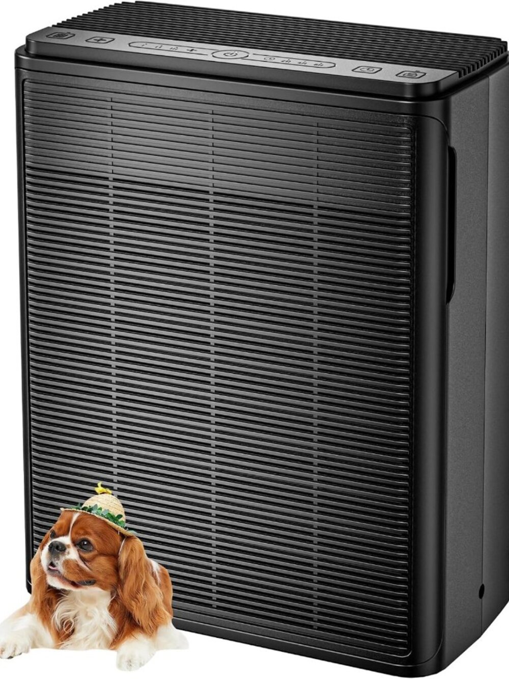 Large Room Air Purifier for Home, HEPA Filter, Washable Filters, Pet & Smoke